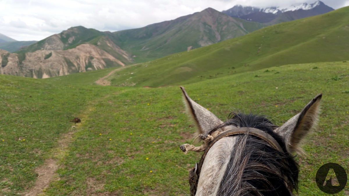 konno kirgistan