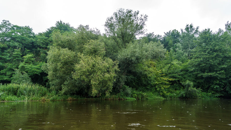 spływ kajakowy blisko warszawy rzeka pilica